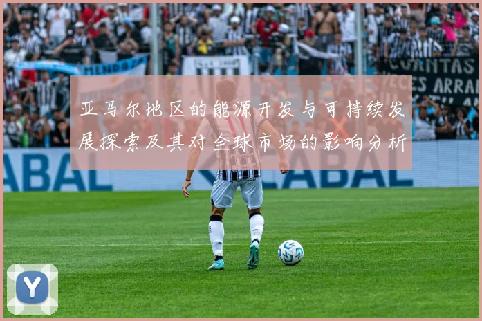 亚马尔地区的能源开发与可持续发展探索及其对全球市场的影响分析