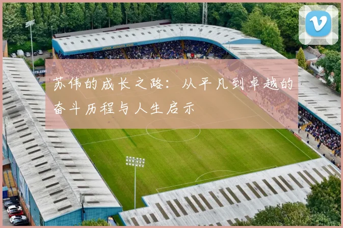 苏伟的成长之路：从平凡到卓越的奋斗历程与人生启示