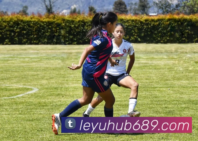 乐鱼体育APP 体育赛事宣传图